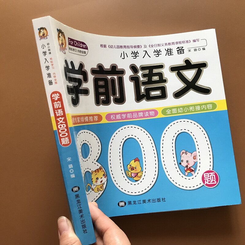 幼儿园学前语文书800题语言幼升小学前语言汉字词语句子语言理解教材
