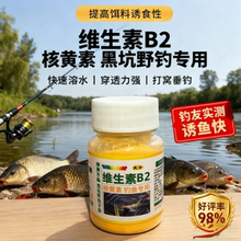 维生素b2钓鱼专用正品核黄素粉末vb2黑坑野钓诱鱼剂诱食剂添加剂