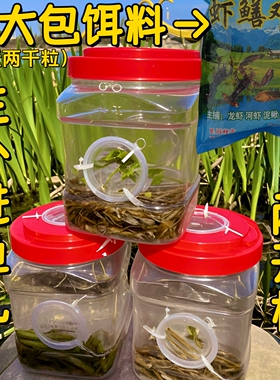 多孔倒须瓶专业抓小鱼儿童神器抓鱼白条鱼虾虎鱼捞鱼瓶捕鱼桶虾笼