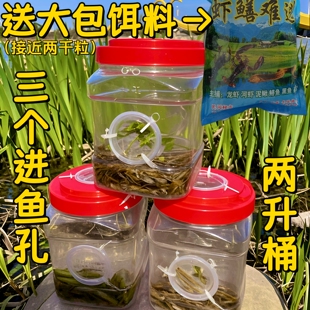 多孔倒须瓶专业抓小鱼儿童神器抓鱼白条鱼虾虎鱼捞鱼瓶捕鱼桶虾笼