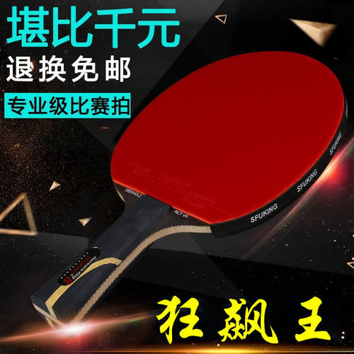 斯弗帝专业级乒乓球拍阿尤斯十星