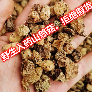 云南野生山慈菇中药材冰球子正品真货毛茨菇干货中草药包邮