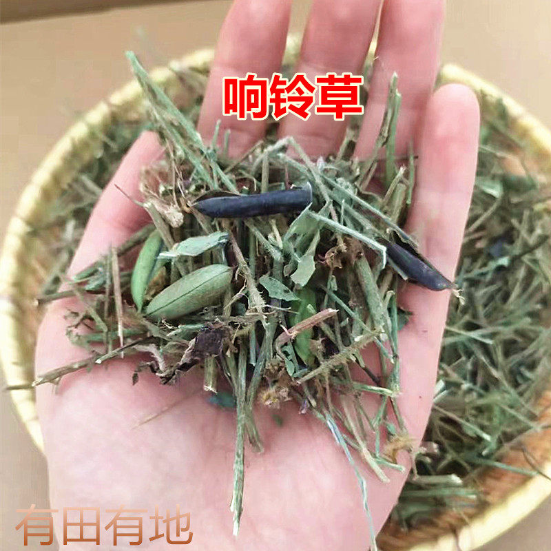 云南野生响铃草假花生农吉利野百合正品中药材新鲜马铃草马响灵草