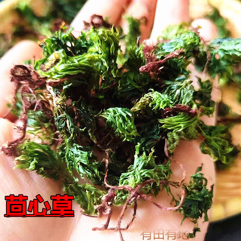 云南野生回心草中药材500g精选药用级天然无硫中草药茴心草干货11