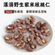 2025新货云南大理漾濞纯野生尖嘴娘亲孕妇无漂白紫米核桃仁500克