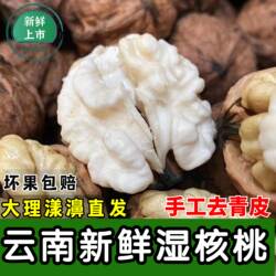 2026年新鲜湿核桃云南大理漾濞去青皮嫩核桃老树薄皮孕妇生核桃