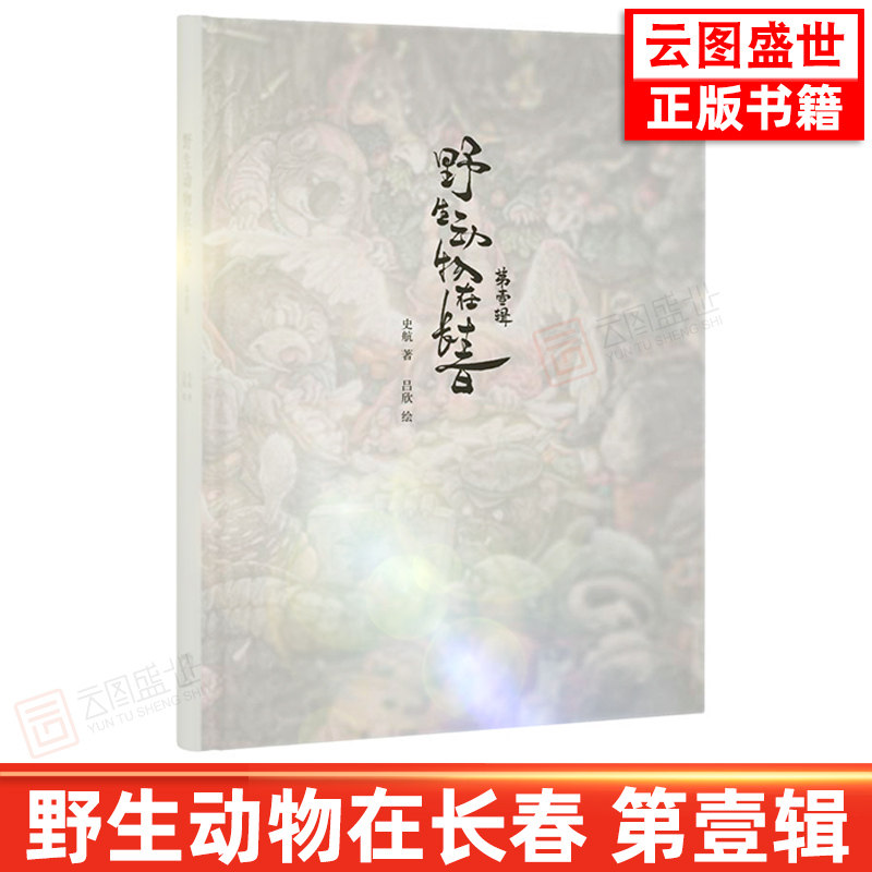 【现货正版】野生动物在长春第一辑(精) 史航著吕欣画 认识海洋动物绘本幼儿园小学生儿童课外阅读野生动物漫画故事书籍DK云图推荐
