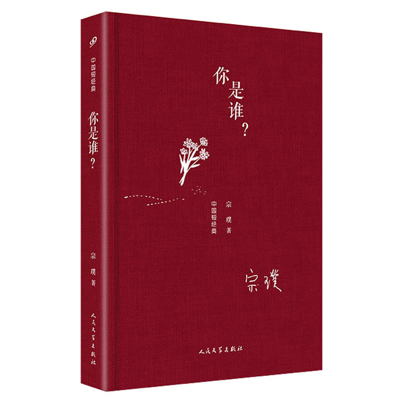 (精装)作家宗璞的短篇小说集,收录代表性作品琥珀手串惚恍小说 书籍书