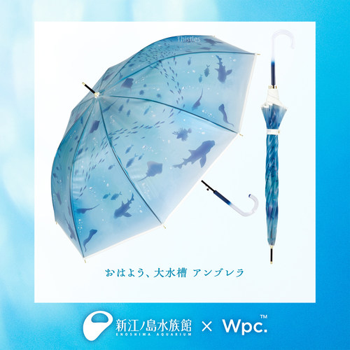 新江ノ島水族館XWpc.透明雨伞