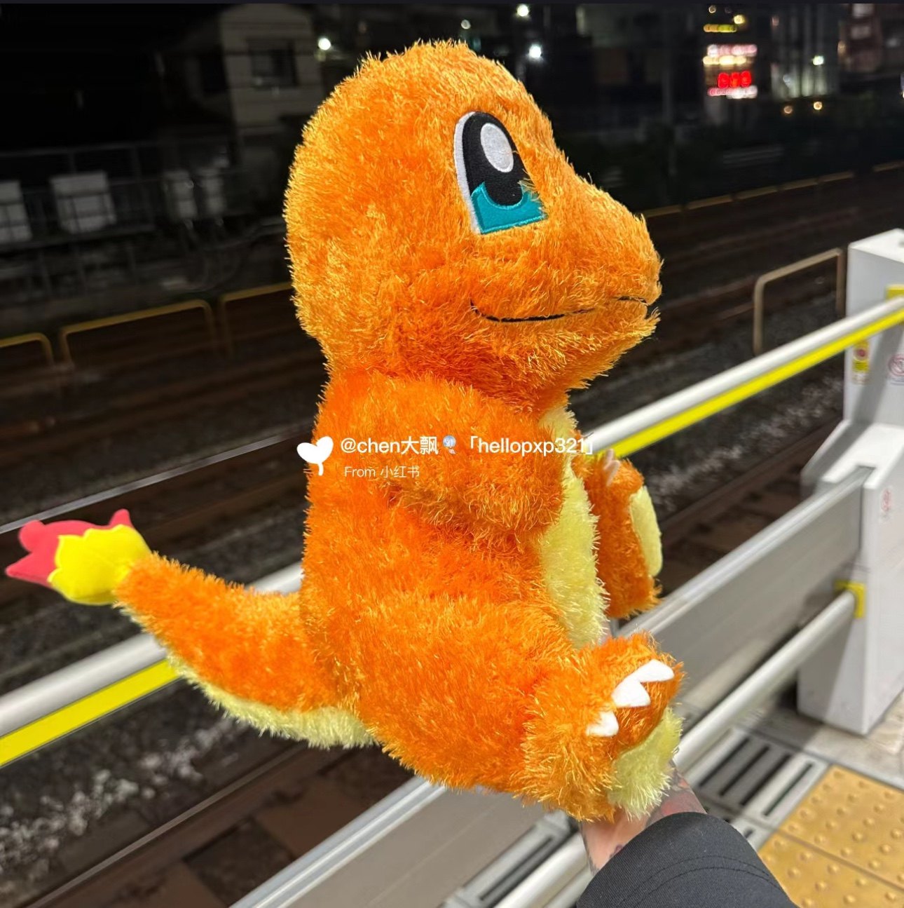 现货 日本正品 日版宝可梦 毛茸茸的小火龙 长毛毛绒玩偶公仔卡通