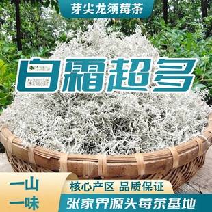 发同款抖音【够喝大半年】莓茶龙须黄酮莓【白霜长芽尖莓茶