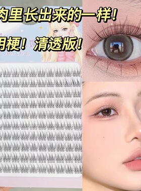8-9mm根根分明！巨自然鱼尾假睫毛仿真透明梗淡妆素颜太阳花分段