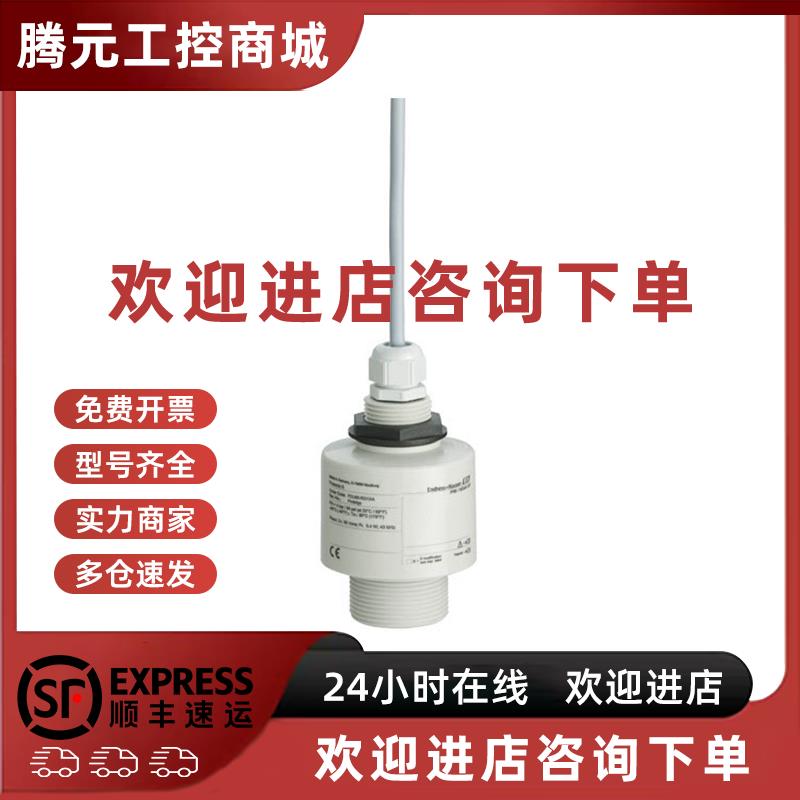 议价FDU90-RG1AA/FDU90-RG2AA  E+H 超声波液位计探头 原装正品