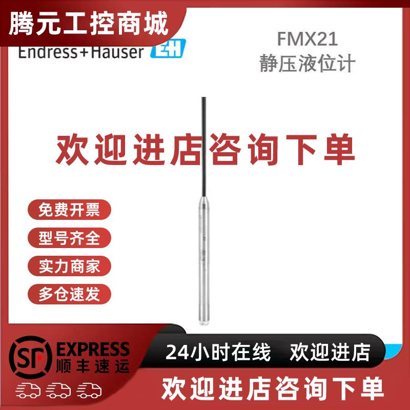 议价E+H 静压液位计 FMX21-AA221HGB10A Endress+Hauser