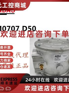 议价意大利MADAS 马达斯 燃气过滤器 FM系列FM07 DN50螺纹接口