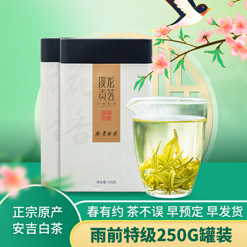 浙江珍稀白茶茶叶安吉白茶2026年新茶正宗雨前特级250g绿茶散装
