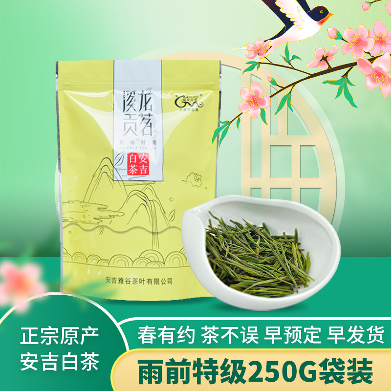安吉白茶溪龙贡茗雨前特级250g