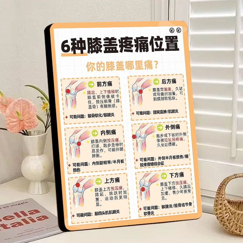 膝盖疼痛位置病症中医理疗馆展示板相框摆件骨科养生馆装饰画摆台