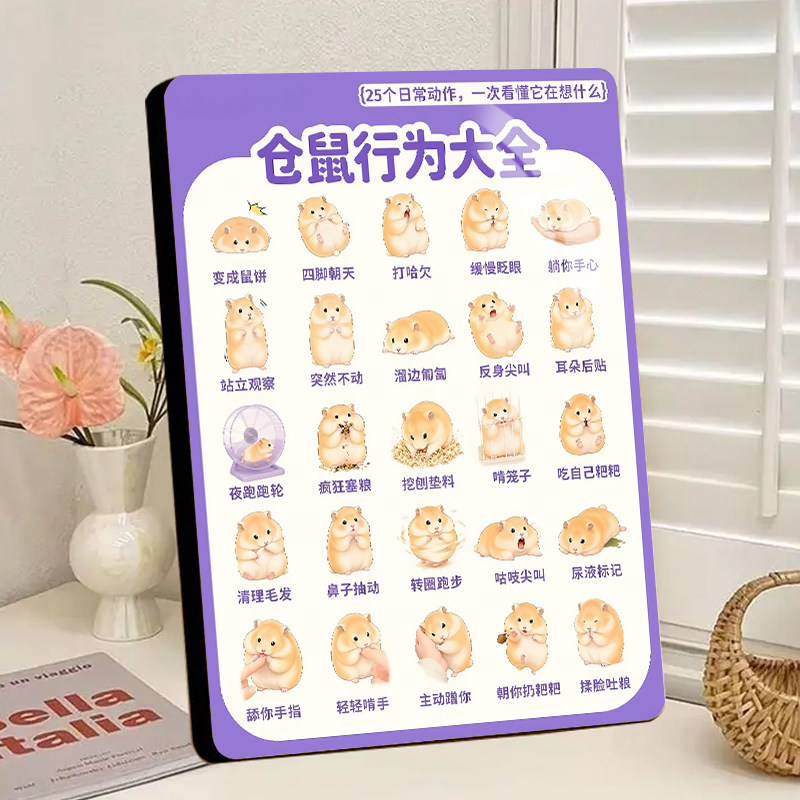 仓鼠行为大全水晶相框摆台房间新手养仓鼠肢体语言解读图解桌面