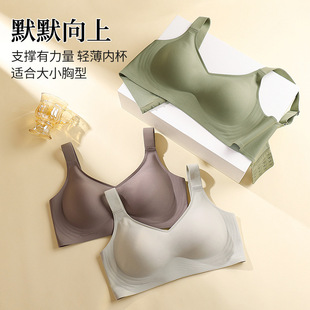 短款游泳性感美背单件打底游泳上衣带胸垫速干运动浮潜水冲浪泳衣