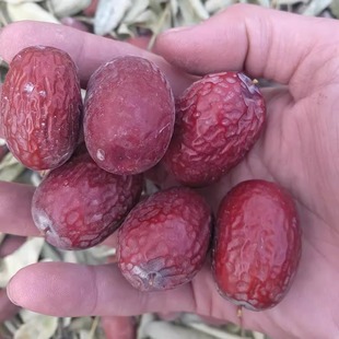 25年新货新疆红枣特等大个吊干灰枣没加工2500克原粒