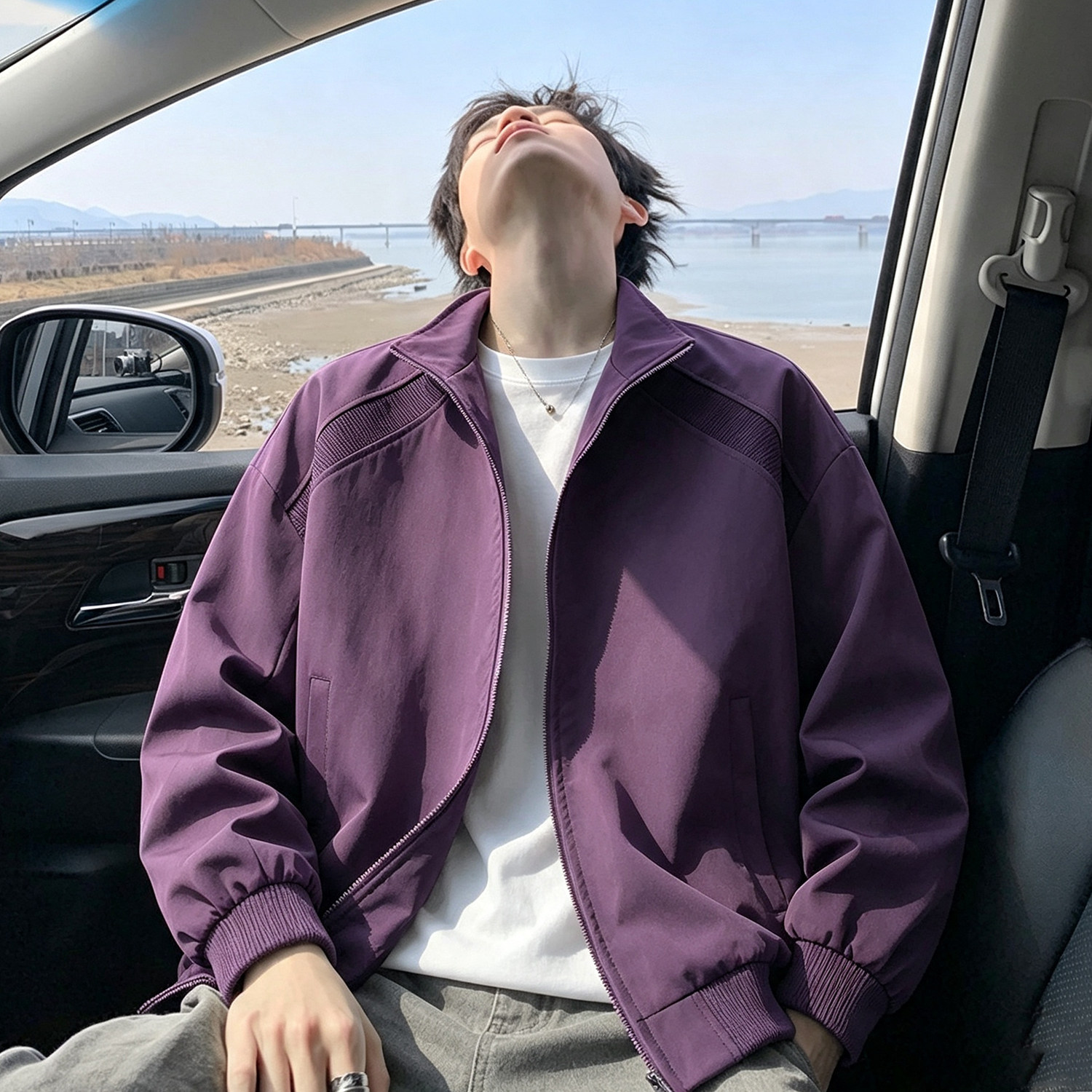 紫色 男式立领夹克外套男   JK26907/P30图片