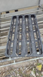 蝴蝶兰小苗1.7寸杯托盘