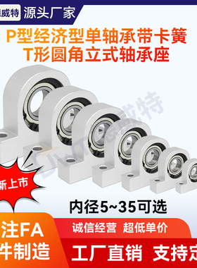 P型经济型单轴承带扣环卡簧立式T形轴承座固定座铝合金 内径17~35