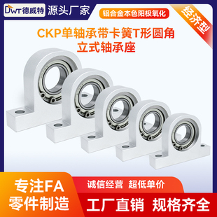 CKP经济型单轴承法兰立式轴承座P型T型C-BGHKA固定座BHJ01支撑座