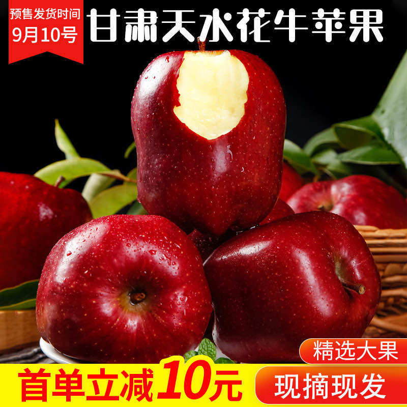 甘肃天水花牛苹果新鲜应季水果脆沙甜面苹果新果10斤/5斤