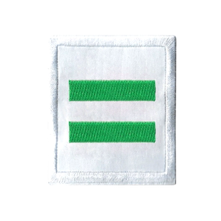 少先队标志棉布袖章小学生中队长二道杠小队长一道杠大队长三道杠班干部臂标大队委中队委小队委牌子别针臂章