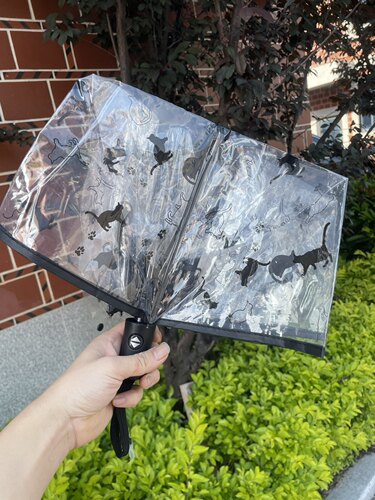 出日本可爱猫咪透明雨伞 轻量折叠小清新便携自动学生网红街拍伞
