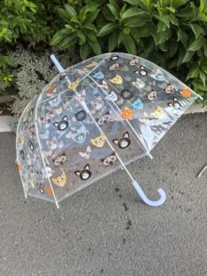 清新INS拱形阿波罗猫咪雨伞透明手开纤维骨加粗学生长柄儿童雨伞