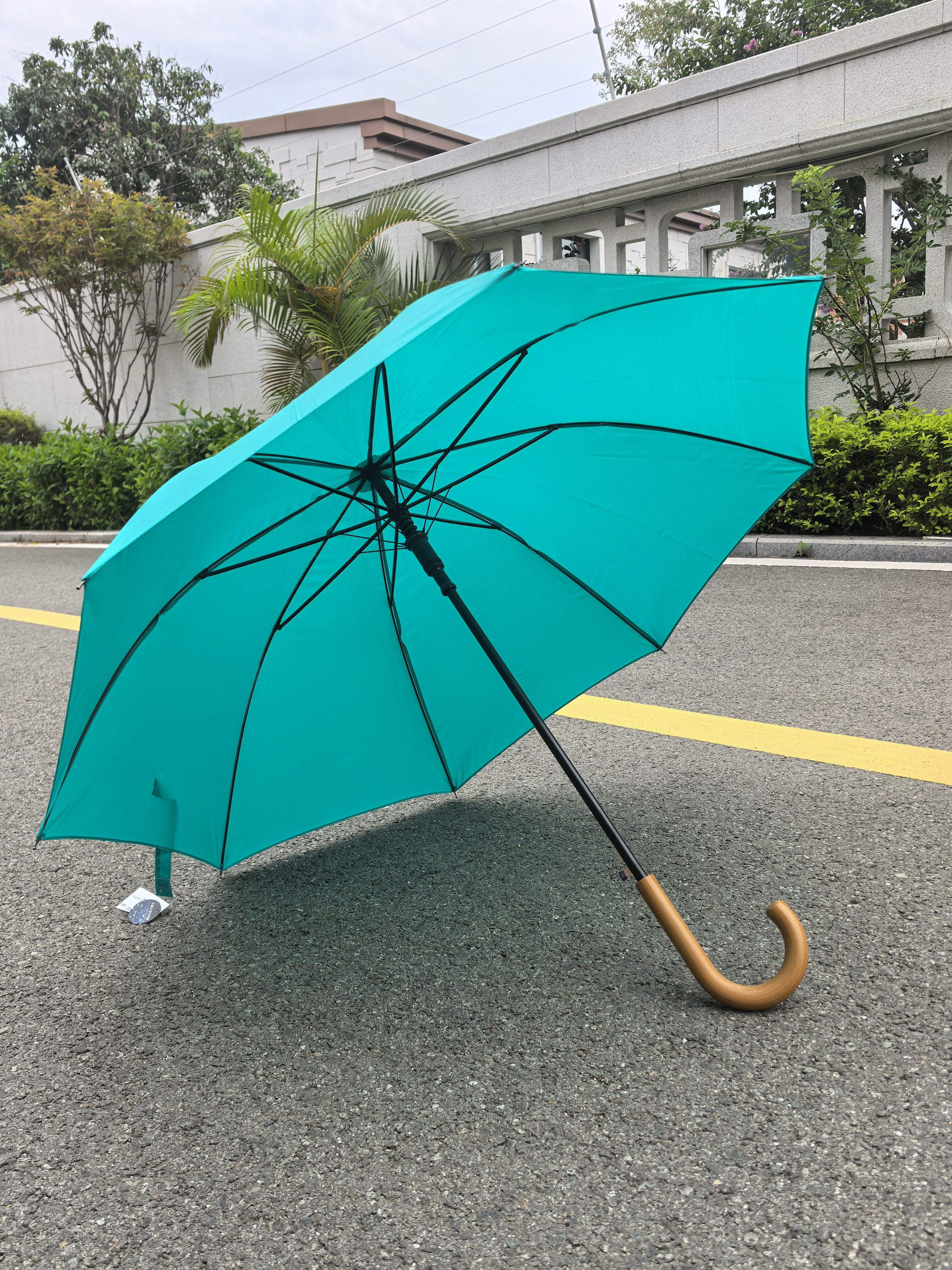 出韩国简约素色长柄雨伞 便携式轻量加固纤维防风成人学生通用伞