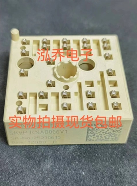 SKIIP13NAB065V1 SKIIP14NAB066V1 SKIIP12NAB065V1