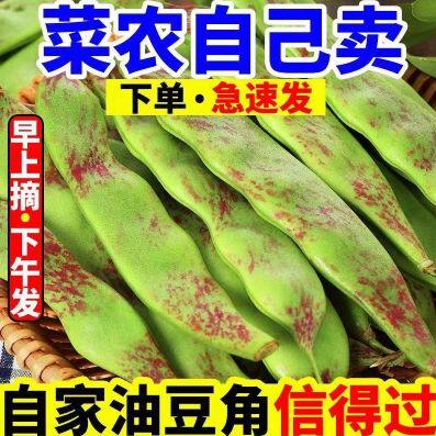 东北油豆角新鲜一点红油豆角开锅烂面豆角宽扁豆角现摘1/5斤包邮