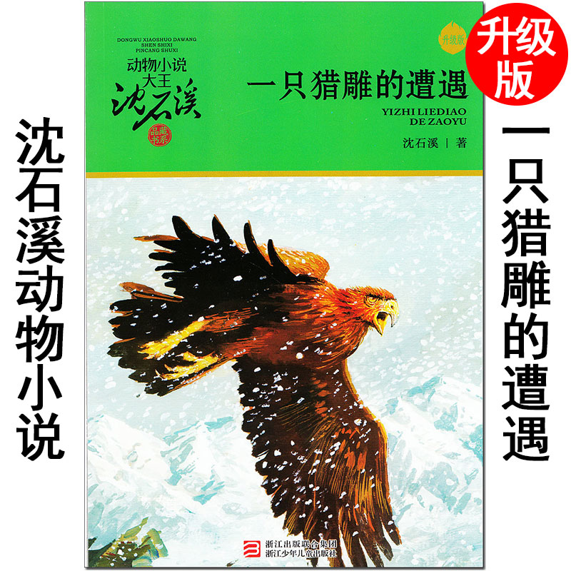 升级版沈石溪动物小说大王品藏书系《一只猎雕的遭遇》浙江少年儿童出版社 小学生四五六年级青少年课外故事书籍 经典系列全集xkc
