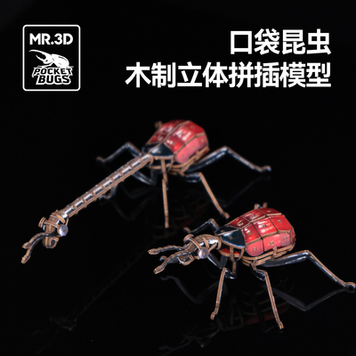 MR.3D口袋昆虫长颈鹿象甲3D玩具