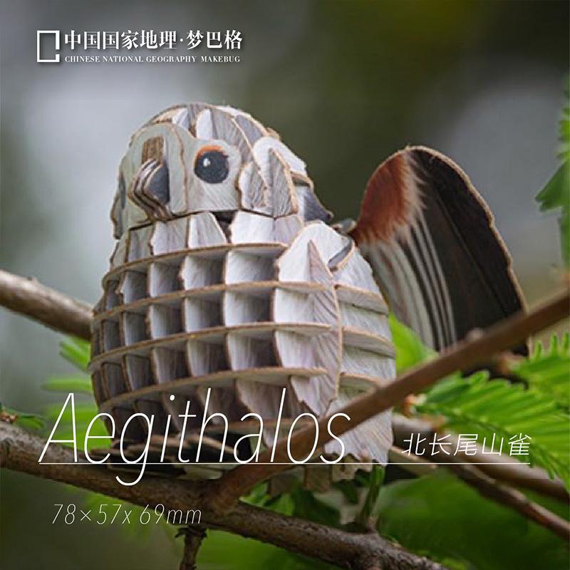 拼图红角真实鸣叫纸模型自然发声