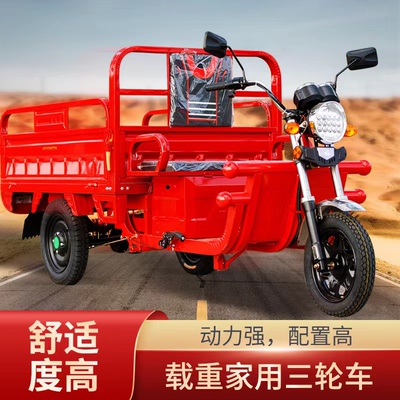 电动三轮车载重王拉货三轮电动电瓶车家用大型农用三轮车摆摊快递