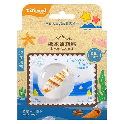 titigood千千谷标本冰箱贴海洋生物动物儿童益智认知玩具5-9岁