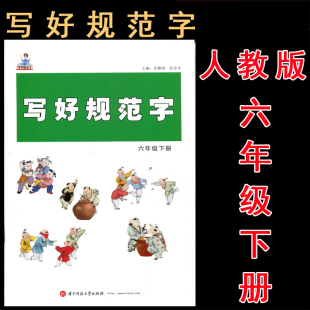 写好规范字 6六年级下册 人教版 部编版小学生硬笔书法 规范汉字书写教程 钢笔书法练字本小学生硬笔楷书教程 钢笔铅笔字帖张鹏涛
