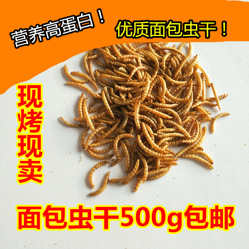 仓鼠粮食面包虫干黄粉虫干金丝熊零食刺猬饲料龟鸟鹩哥