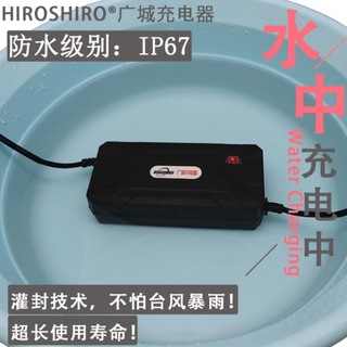 （防水自动断电）电动车电瓶充电器48V12AH20AH60V72爱玛雅迪通用