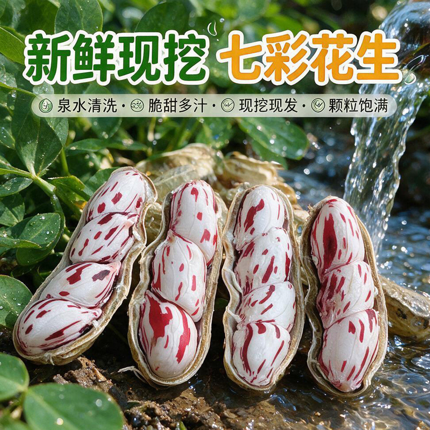 2026年新鲜现挖七彩花生云南特产五彩花生富硒黑花生新鲜湿花5斤