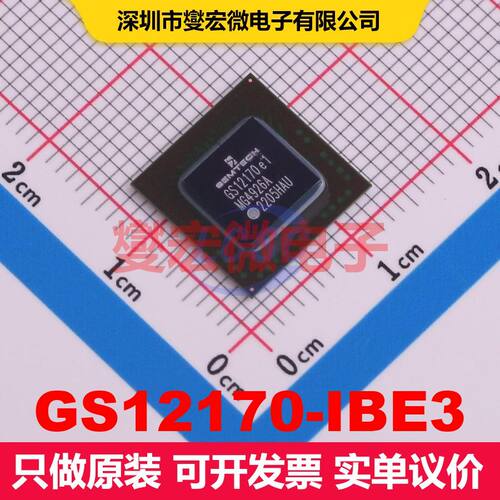 GS12170-IBE3 BGA-196(12x12) 视频处理器 线性 集成芯片IC