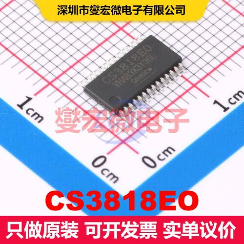 CS3818EO HTSSOP-28 音频放大器 线性 集成芯片IC