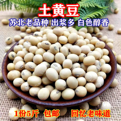 农家自种老品种椭圆形黄豆豆浆