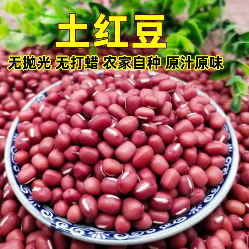 苏北土红豆小红豆无抛光无打蜡