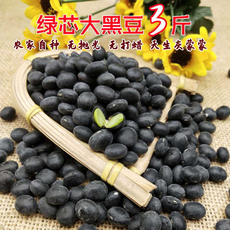 黑豆包邮老品种椭圆形